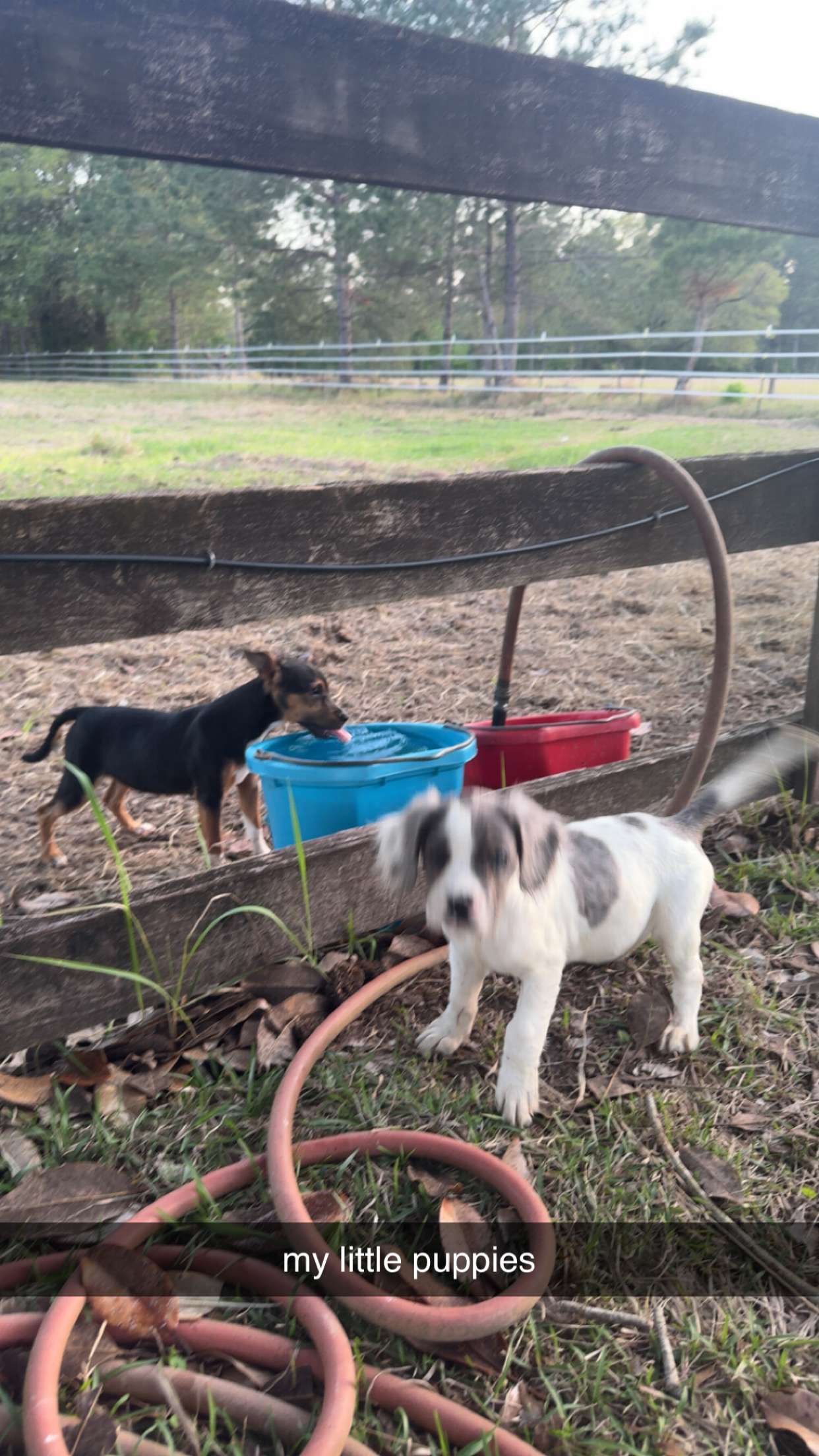 mckinley_1 snapchat image archive image