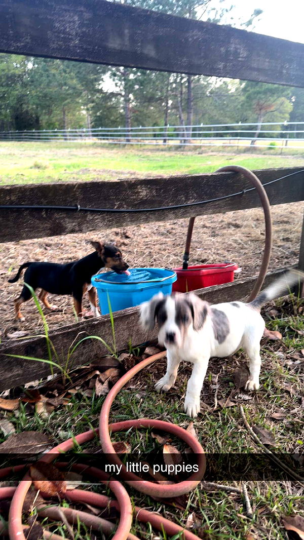 mckinley_1 image ~ Altpins