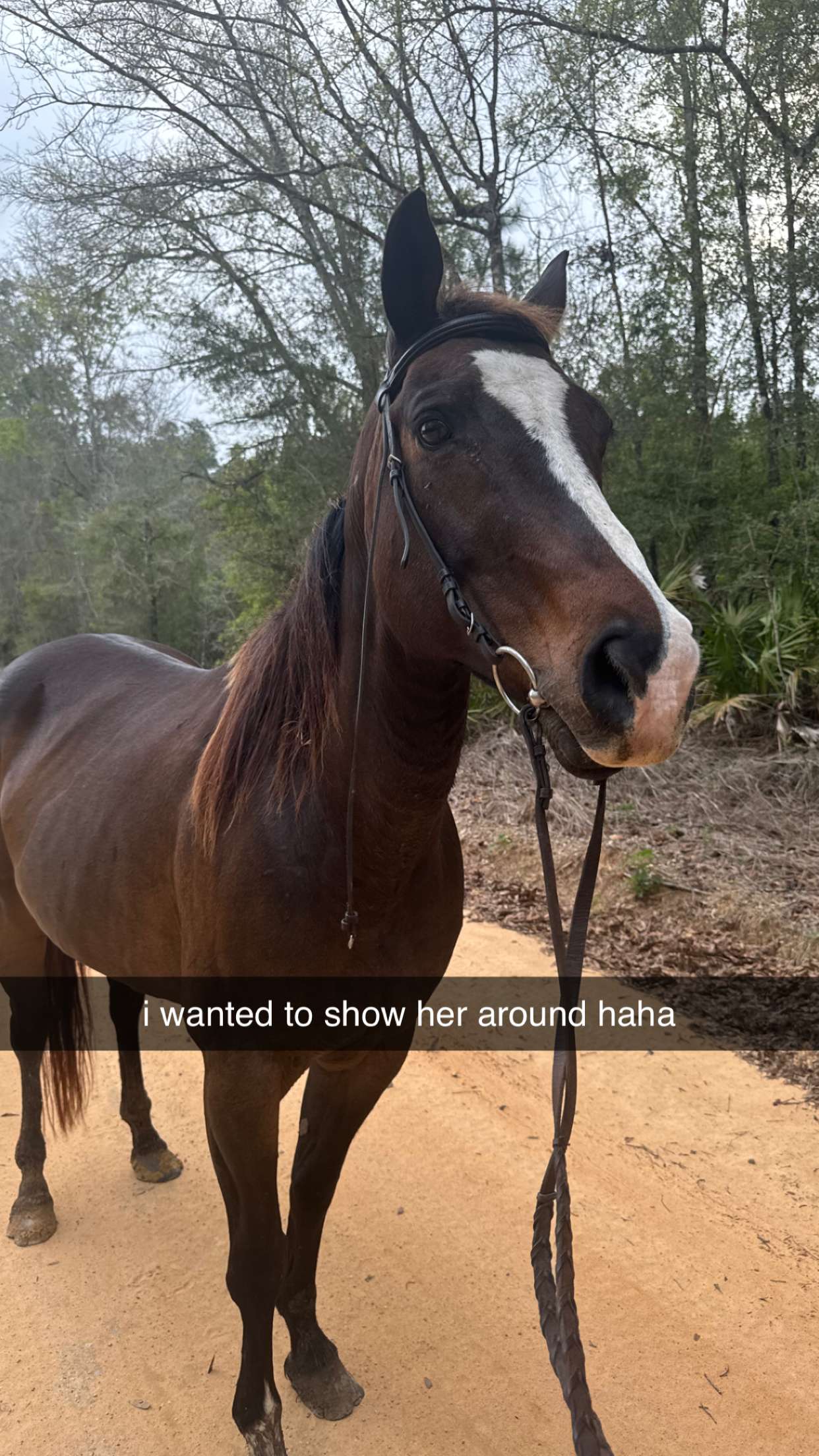 mckinley_1 snapchat image archive image