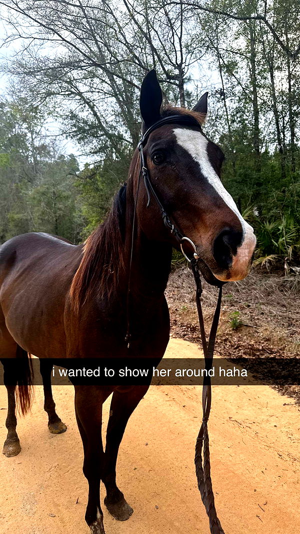 mckinley_1 image ~ Altpins