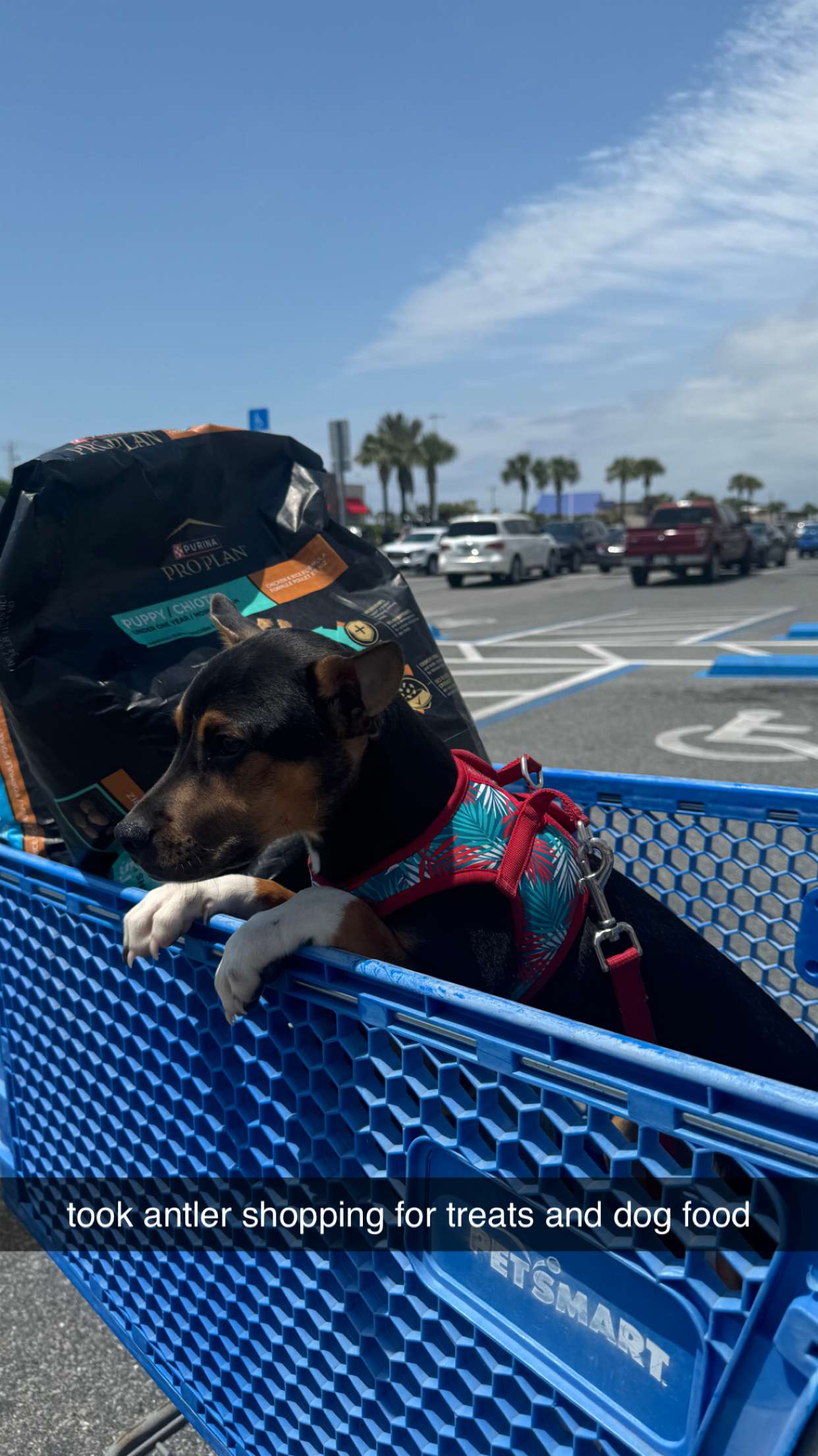 mckinley_1 snapchat image archive image