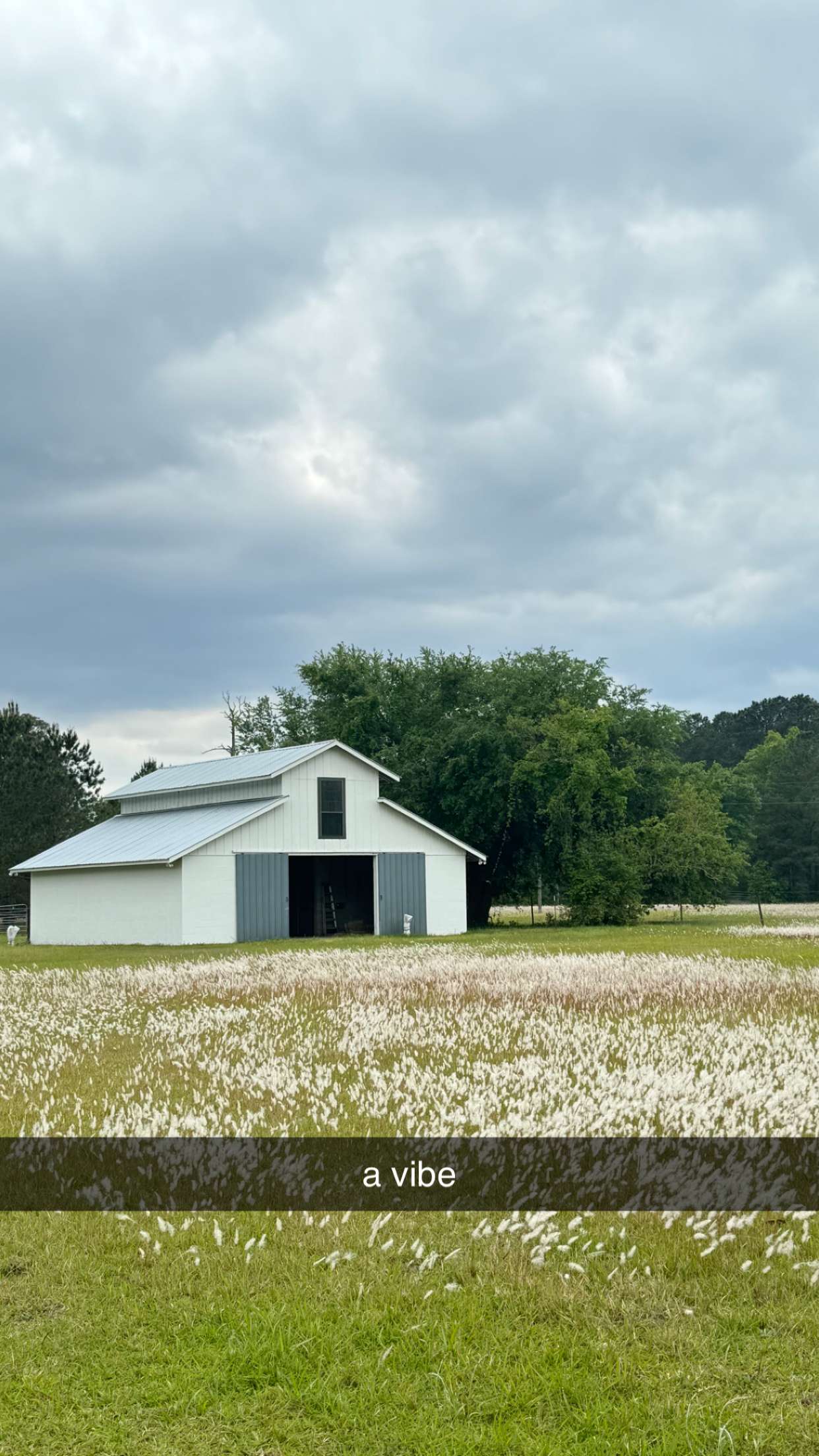 mckinley_1 snapchat image archive image