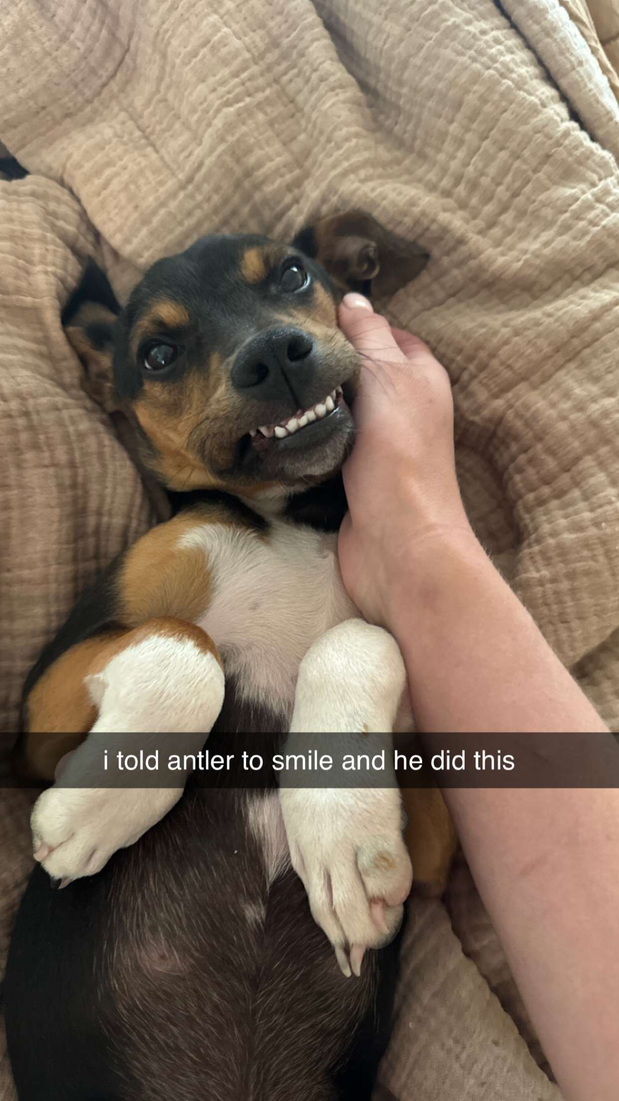 mckinley_1 snapchat image archive image