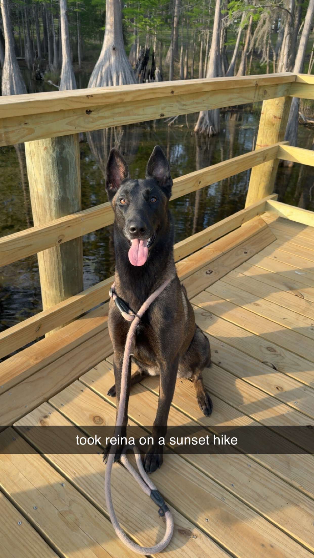 mckinley_1 snapchat image archive image