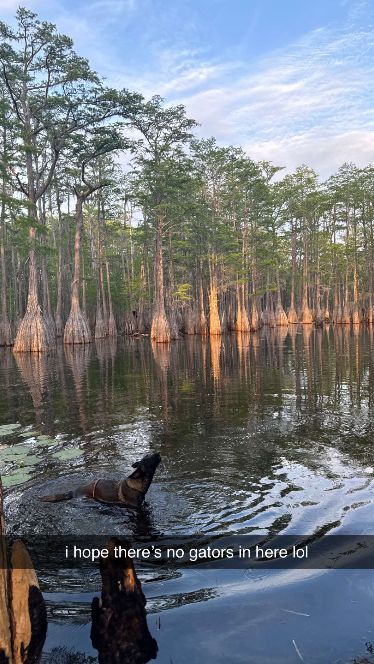 mckinley_1 snapchat image archive image