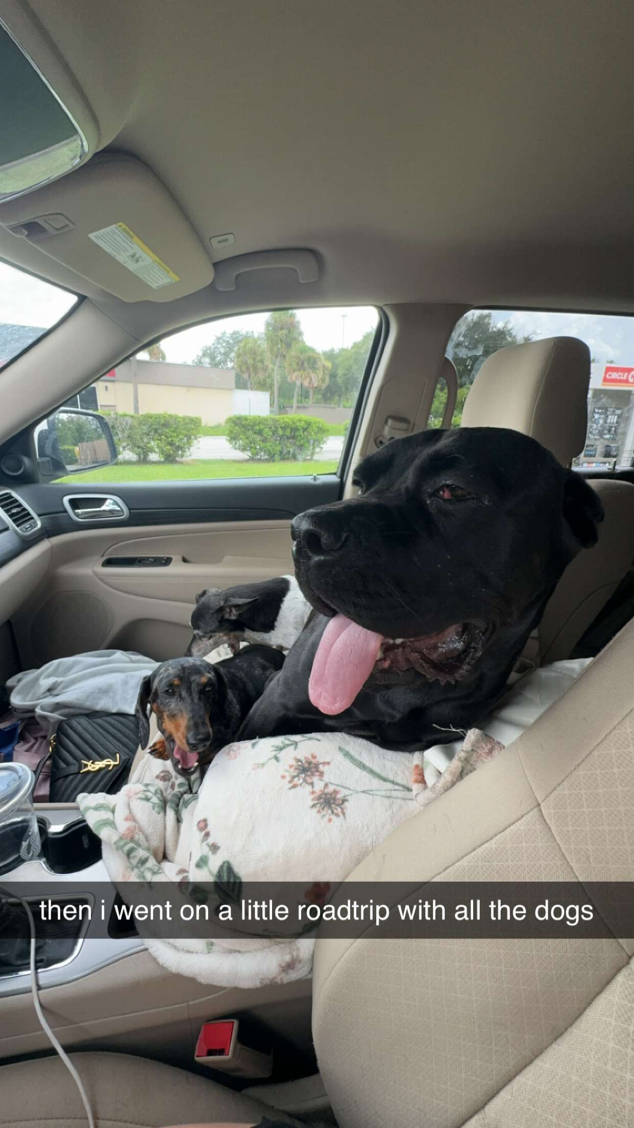 mckinley_1 snapchat image archive image