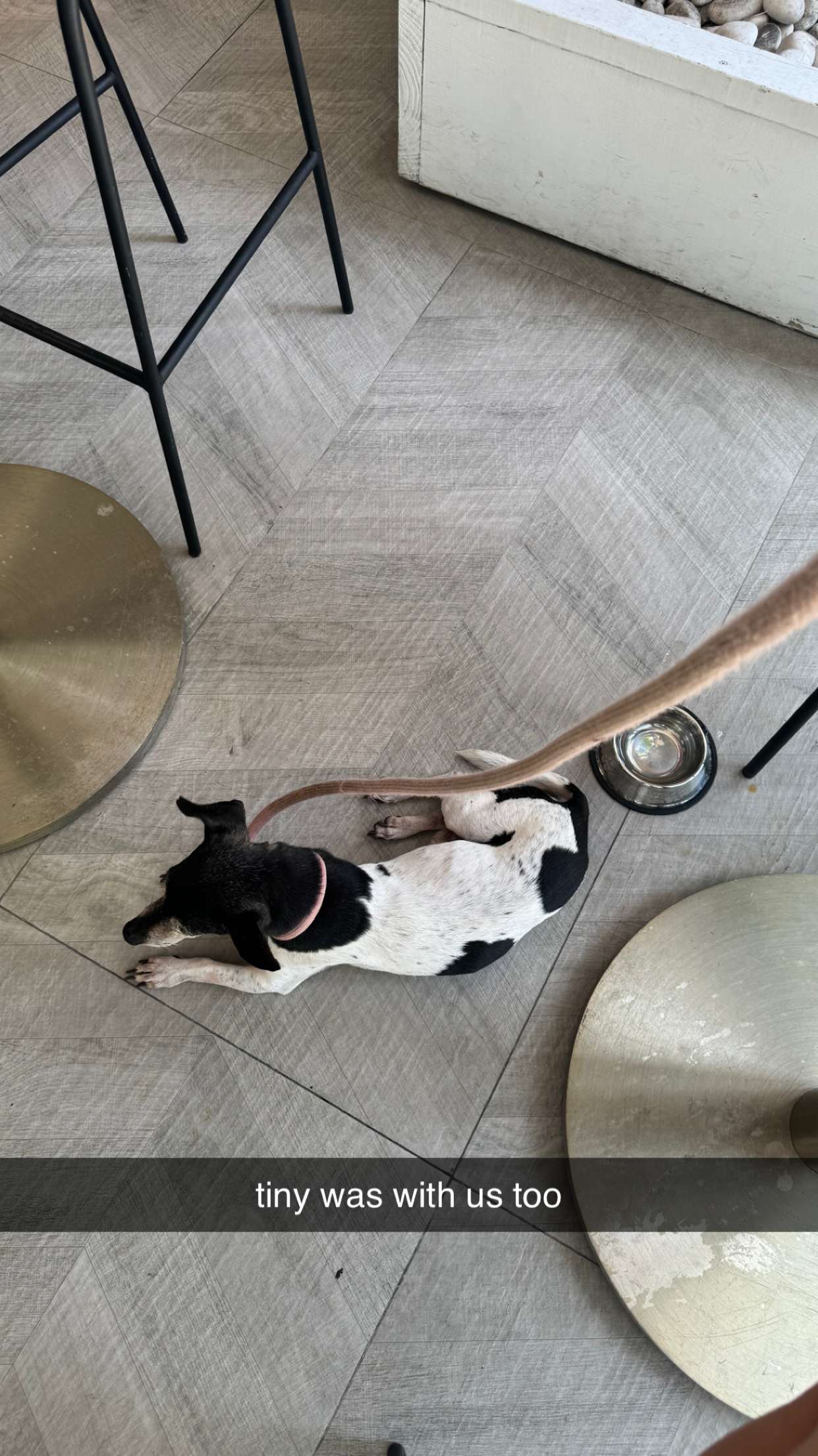 mckinley_1 snapchat image archive image