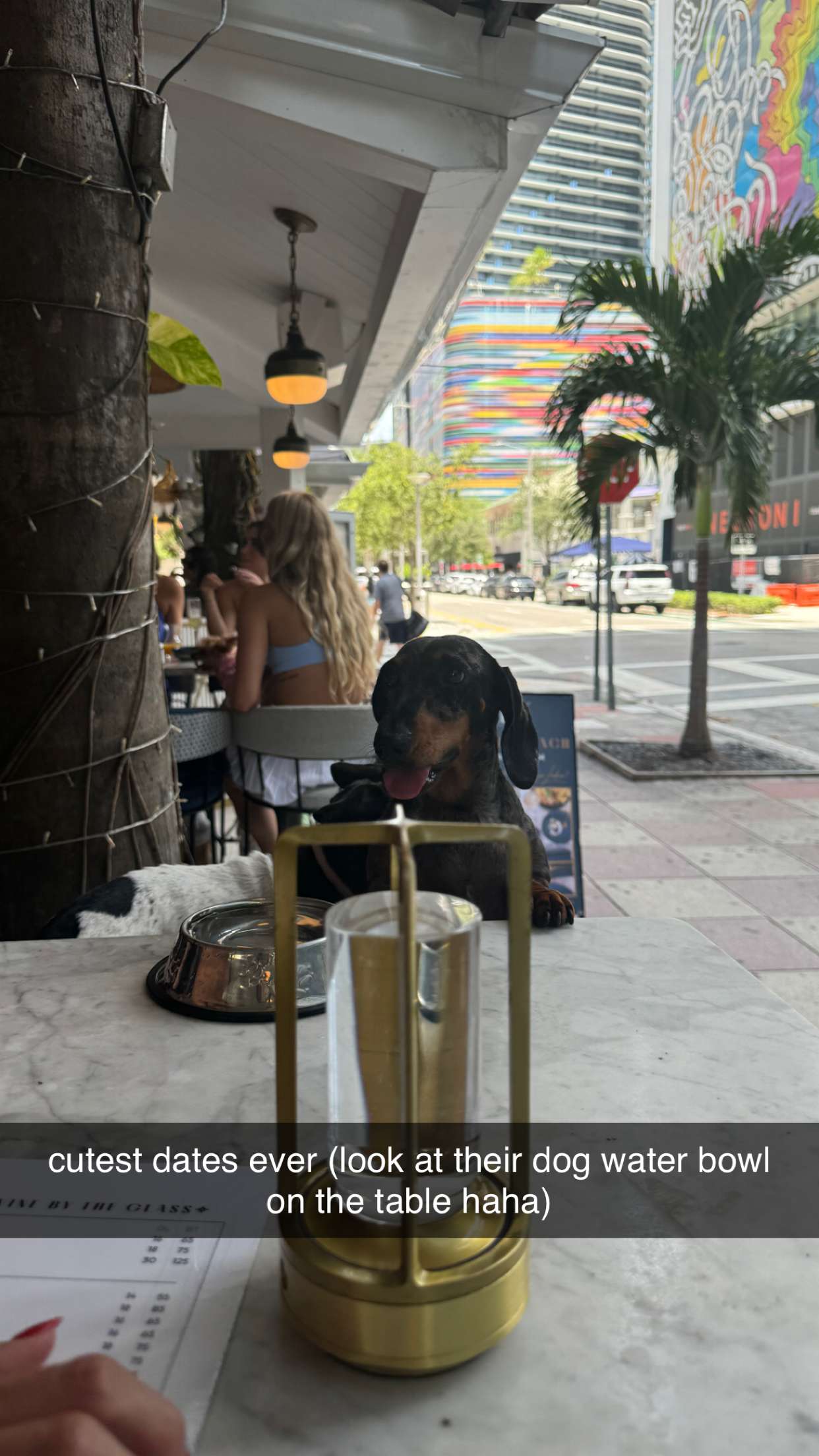 mckinley_1 snapchat image archive image