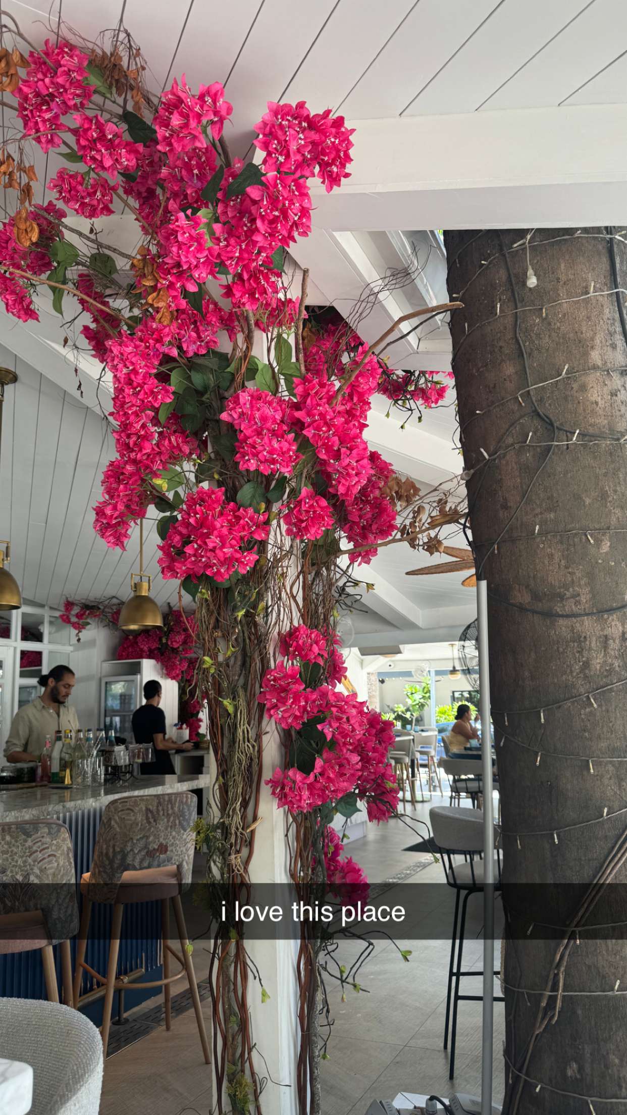 mckinley_1 snapchat image archive image