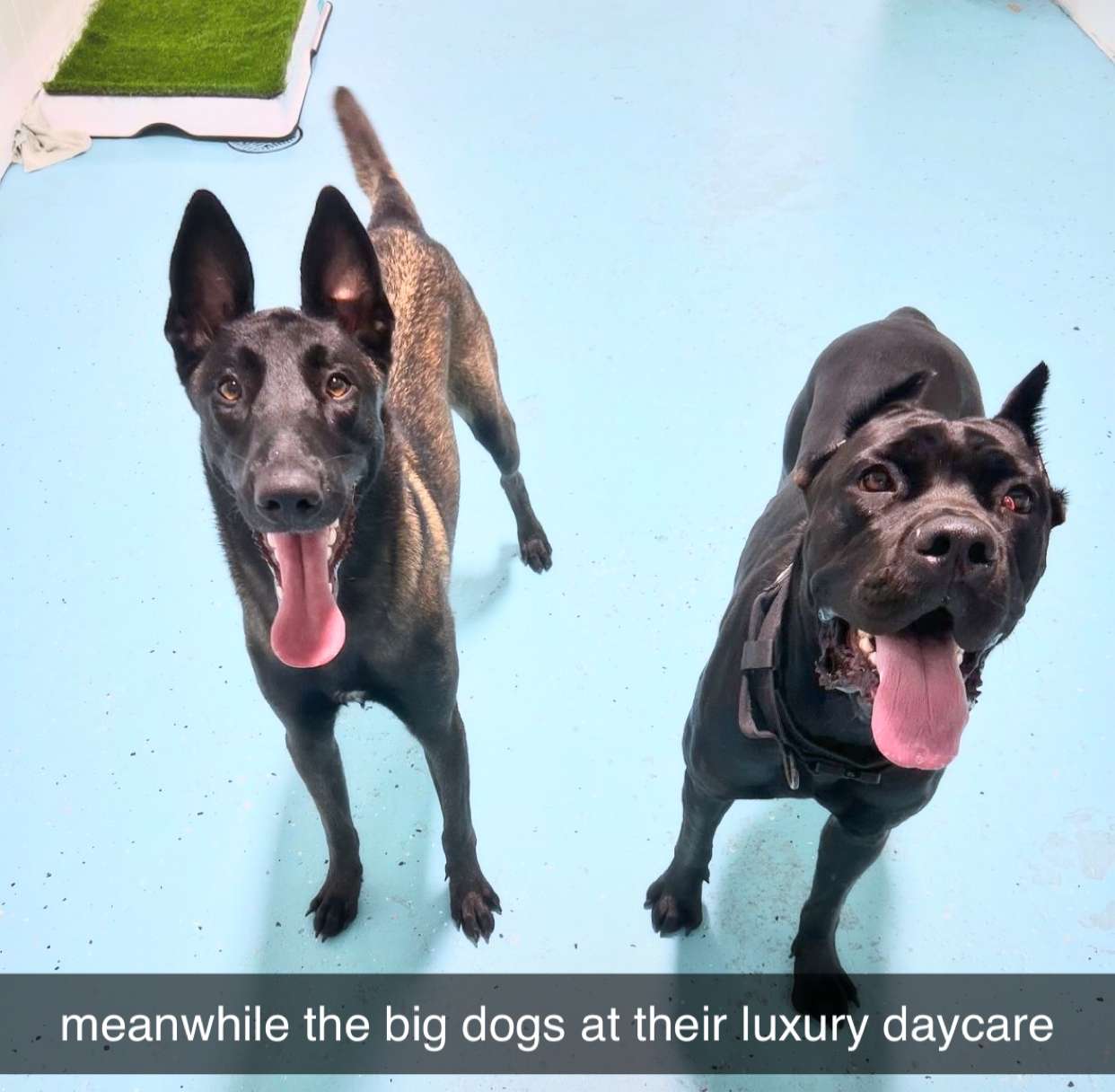 mckinley_1 snapchat image archive image