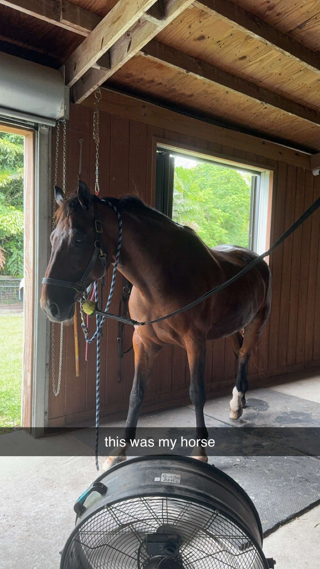 mckinley_1 snapchat image archive image