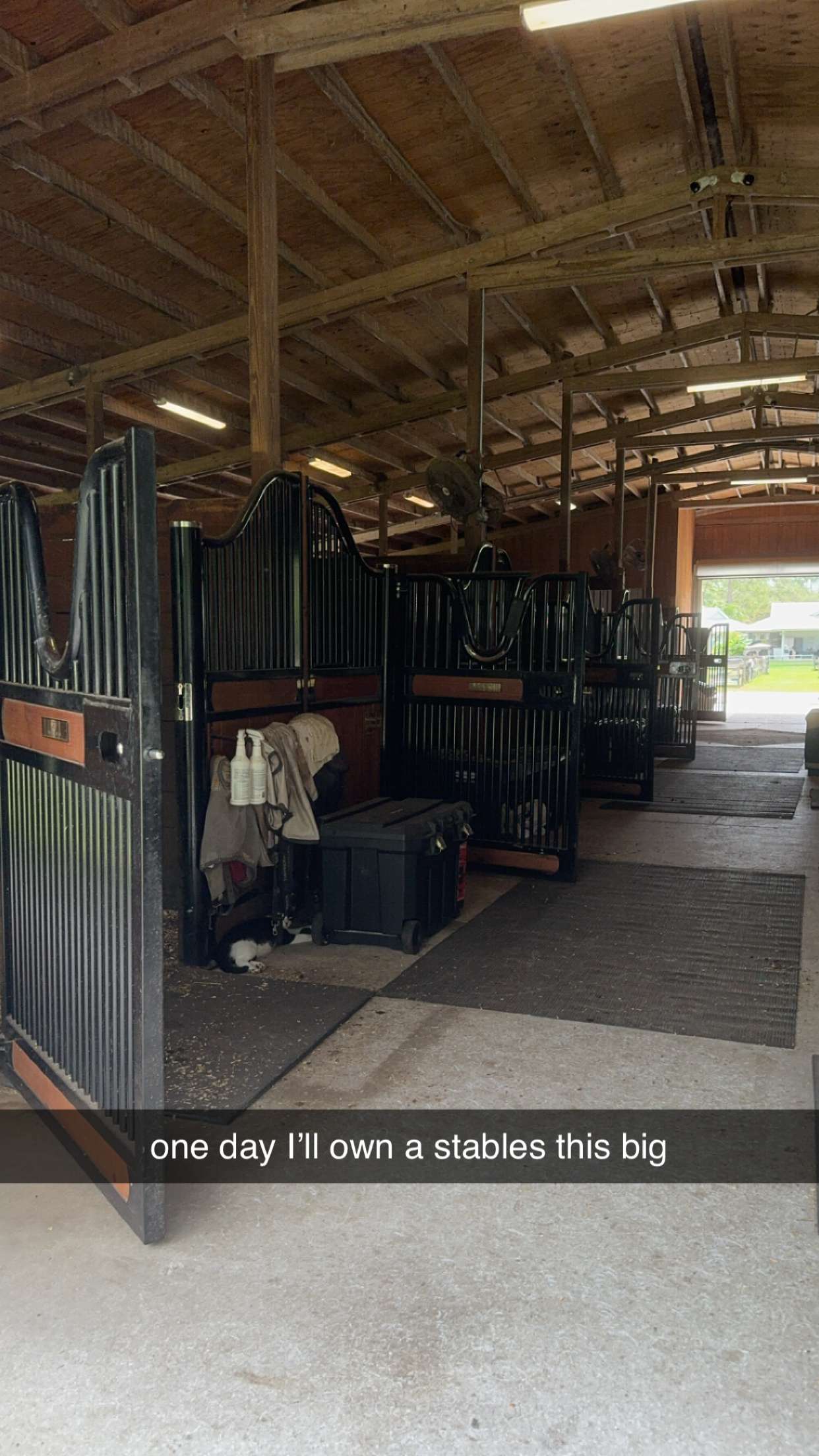 mckinley_1 snapchat image archive image