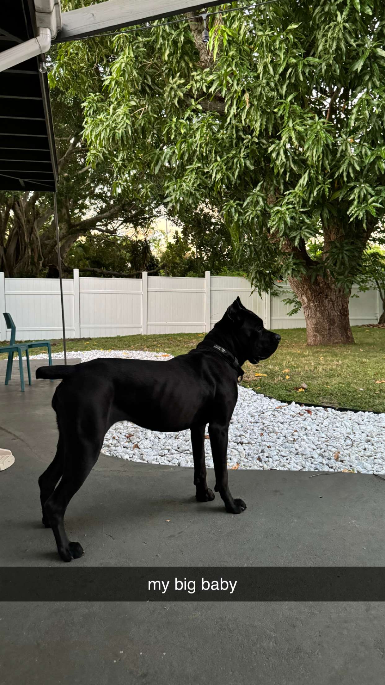 mckinley_1 snapchat image archive image