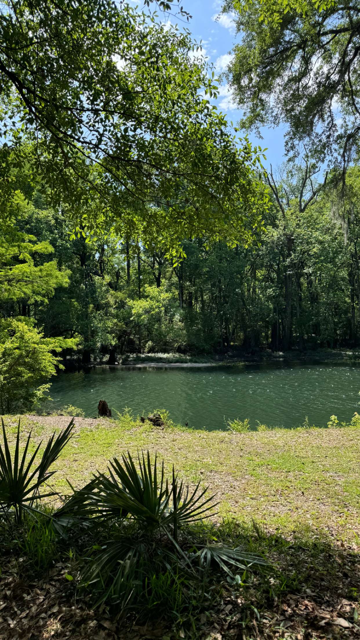 mckinley_1 snapchat image archive image