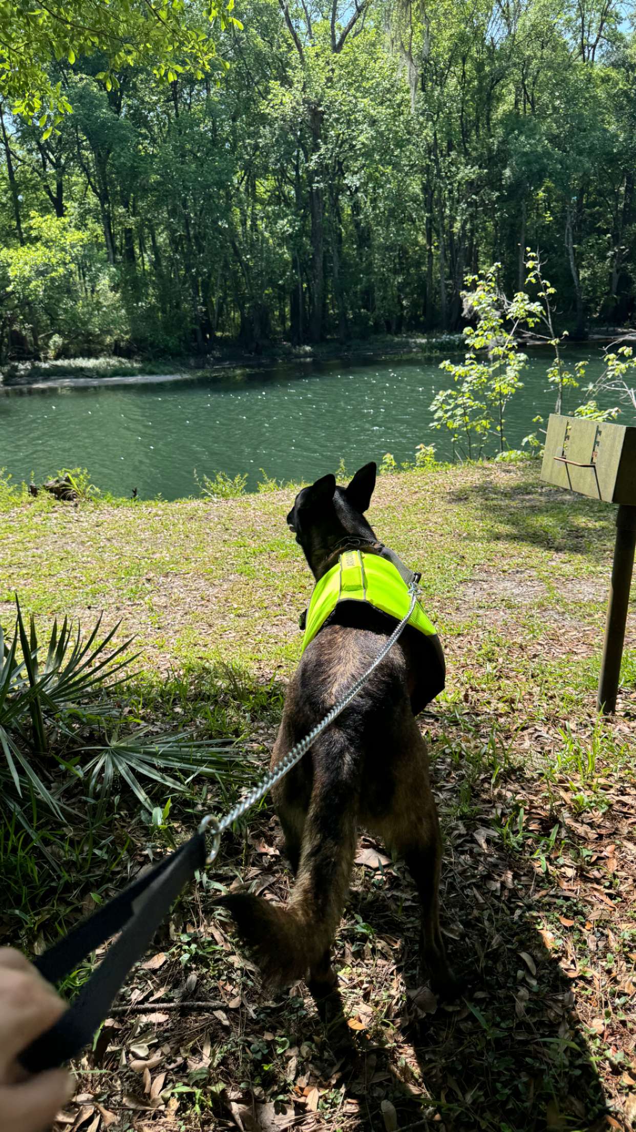 mckinley_1 snapchat image archive image