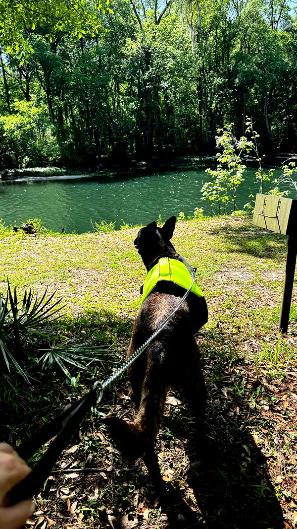 mckinley_1 image ~ Altpins