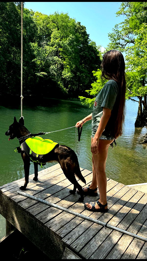 mckinley_1 image ~ Altpins