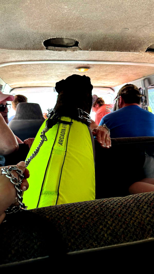 mckinley_1 image ~ Altpins