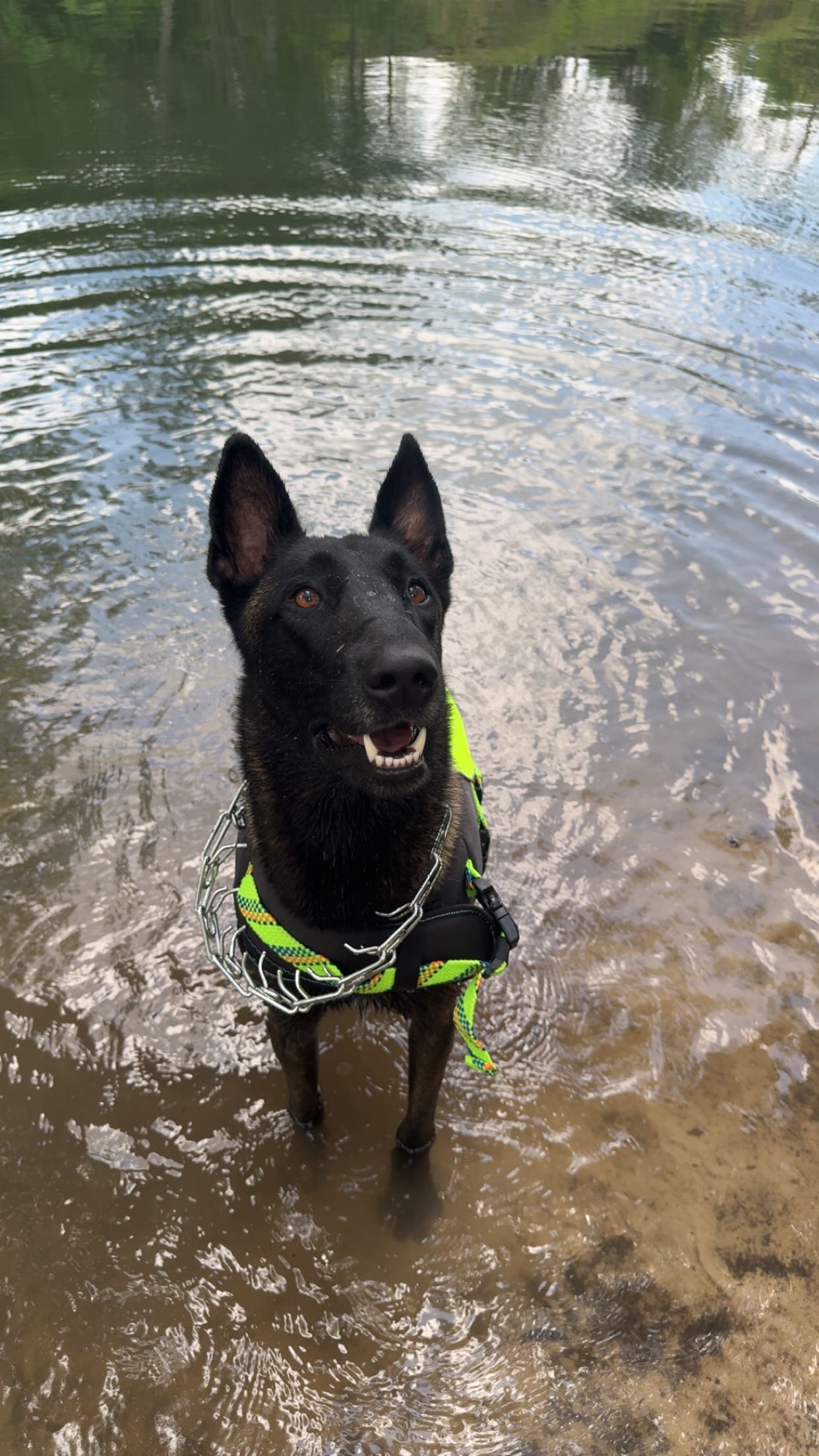 mckinley_1 snapchat image archive image