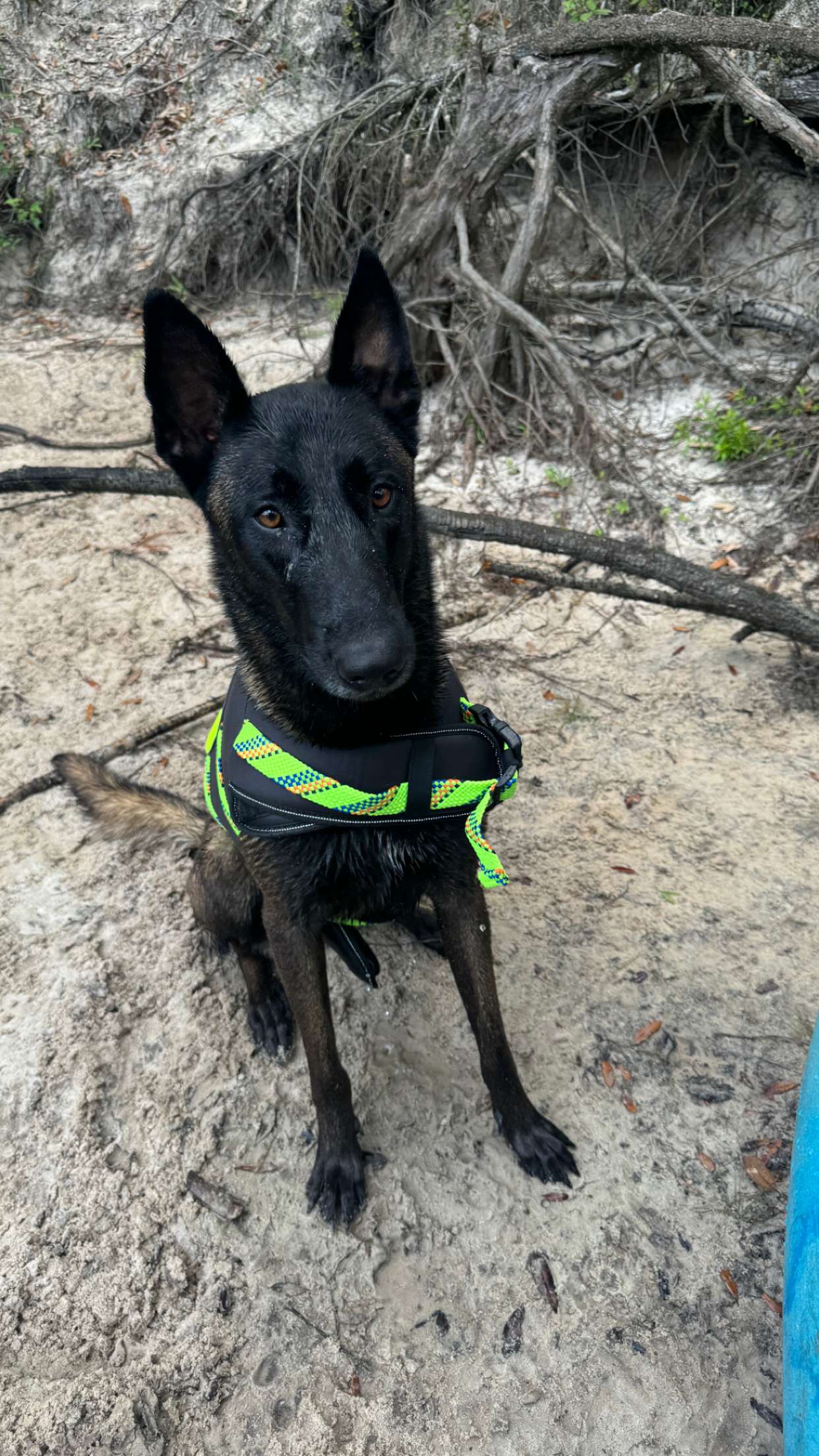 mckinley_1 snapchat image archive image