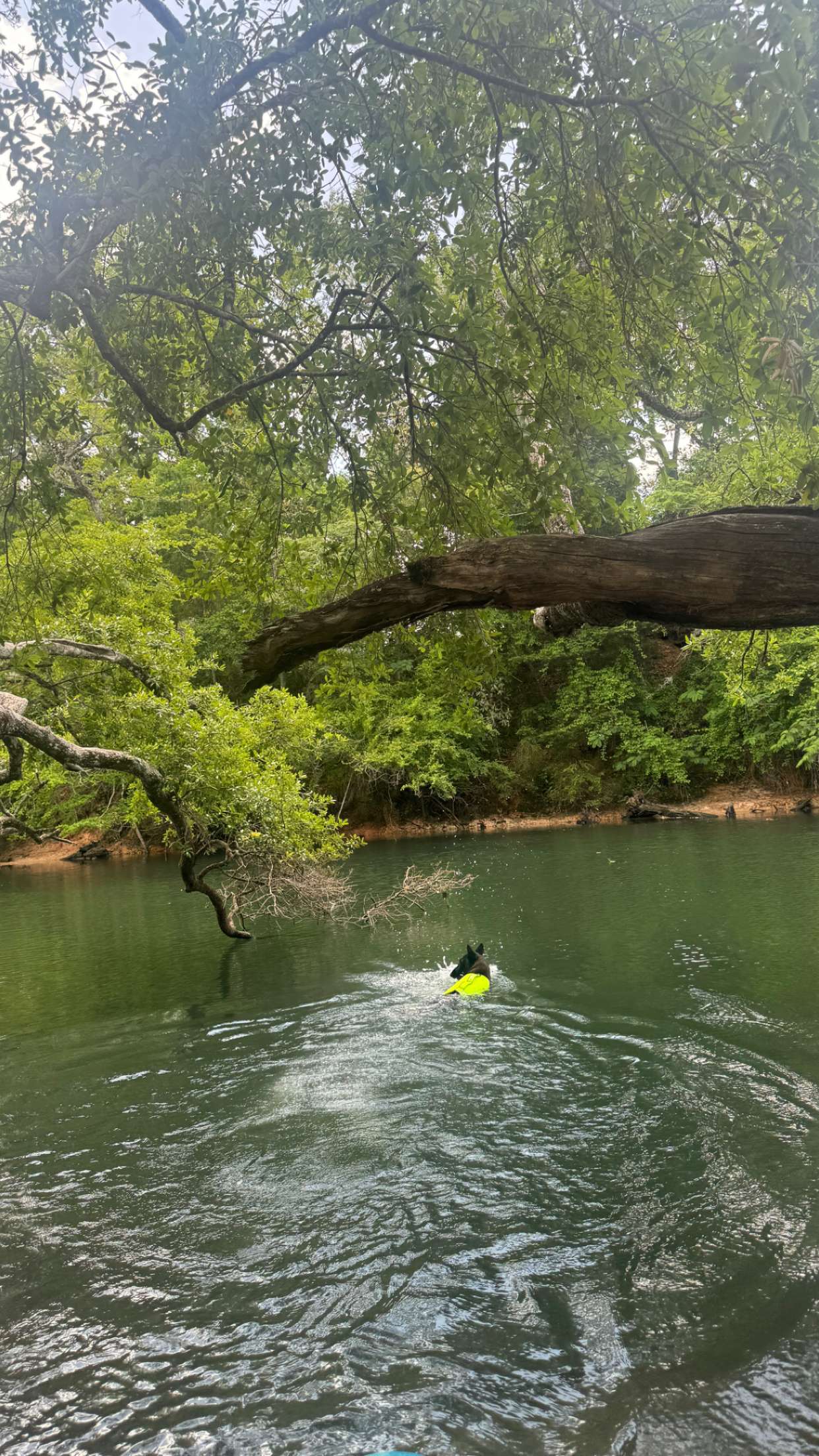 mckinley_1 snapchat image archive image