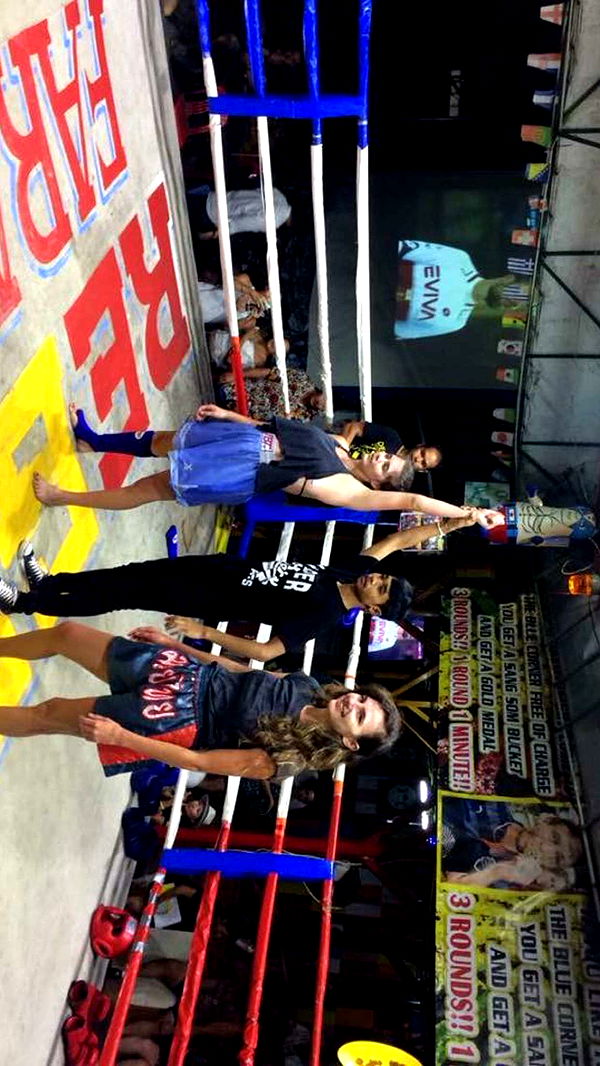 mckinley_1 image ~ Altpins