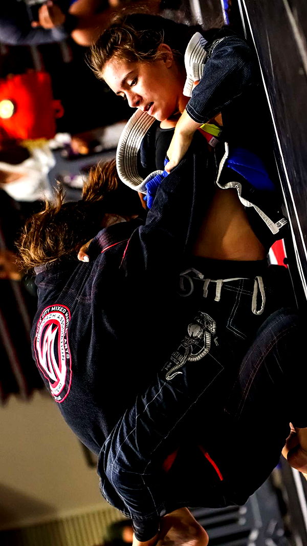 mckinley_1 image ~ Altpins