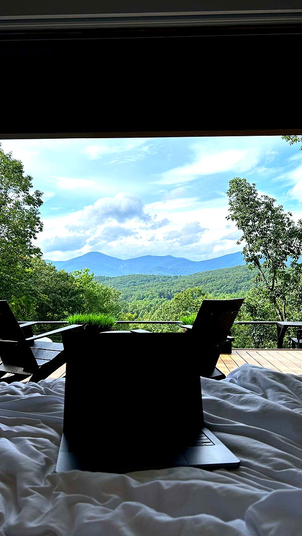 mckinley_1 image ~ Altpins