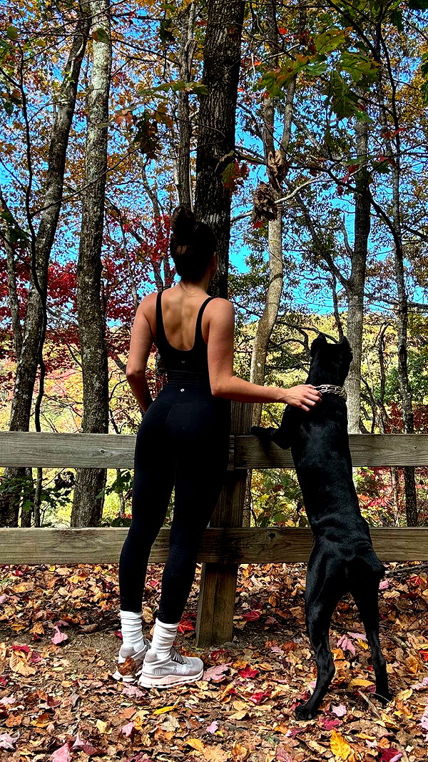 mckinley_1 image ~ Altpins