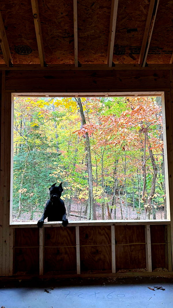 mckinley_1 image ~ Altpins