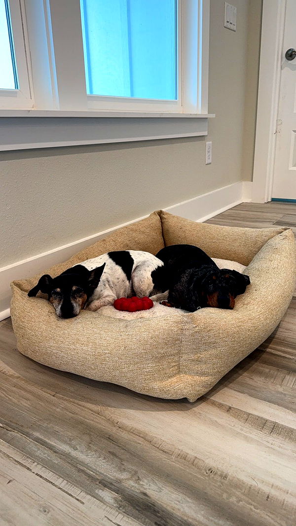 mckinley_1 image ~ Altpins