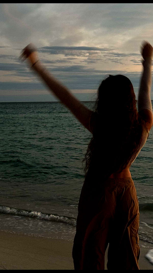 mckinley_1 image ~ Altpins