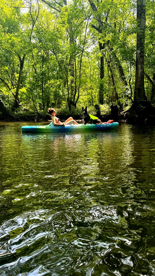 mckinley_1 image ~ Altpins