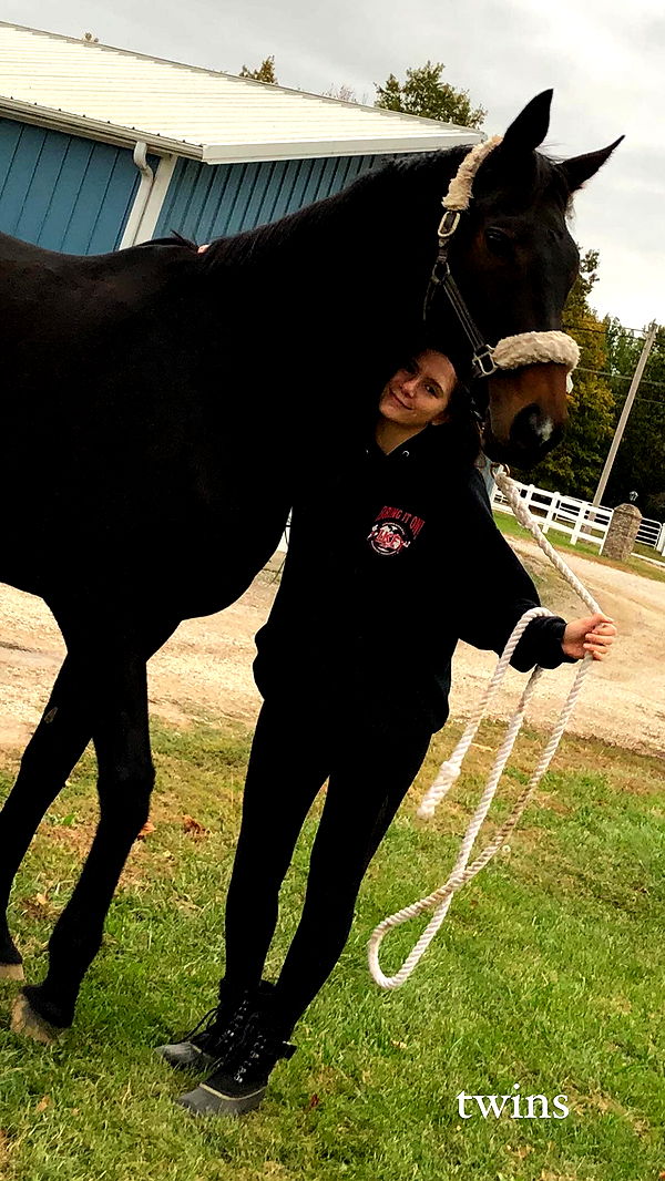 mckinley_1 image ~ Altpins