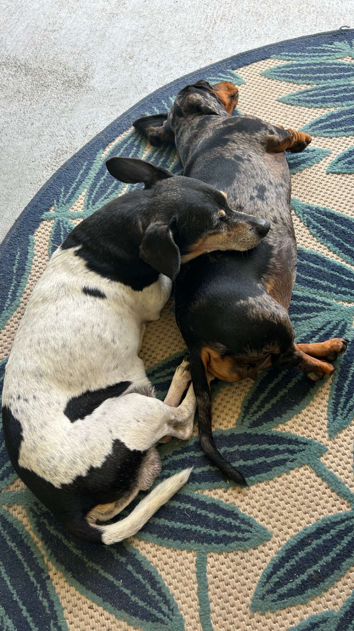 mckinley_1 snapchat image archive image