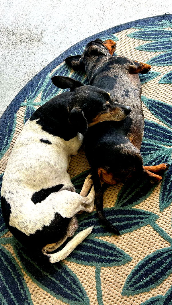 mckinley_1 image ~ Altpins