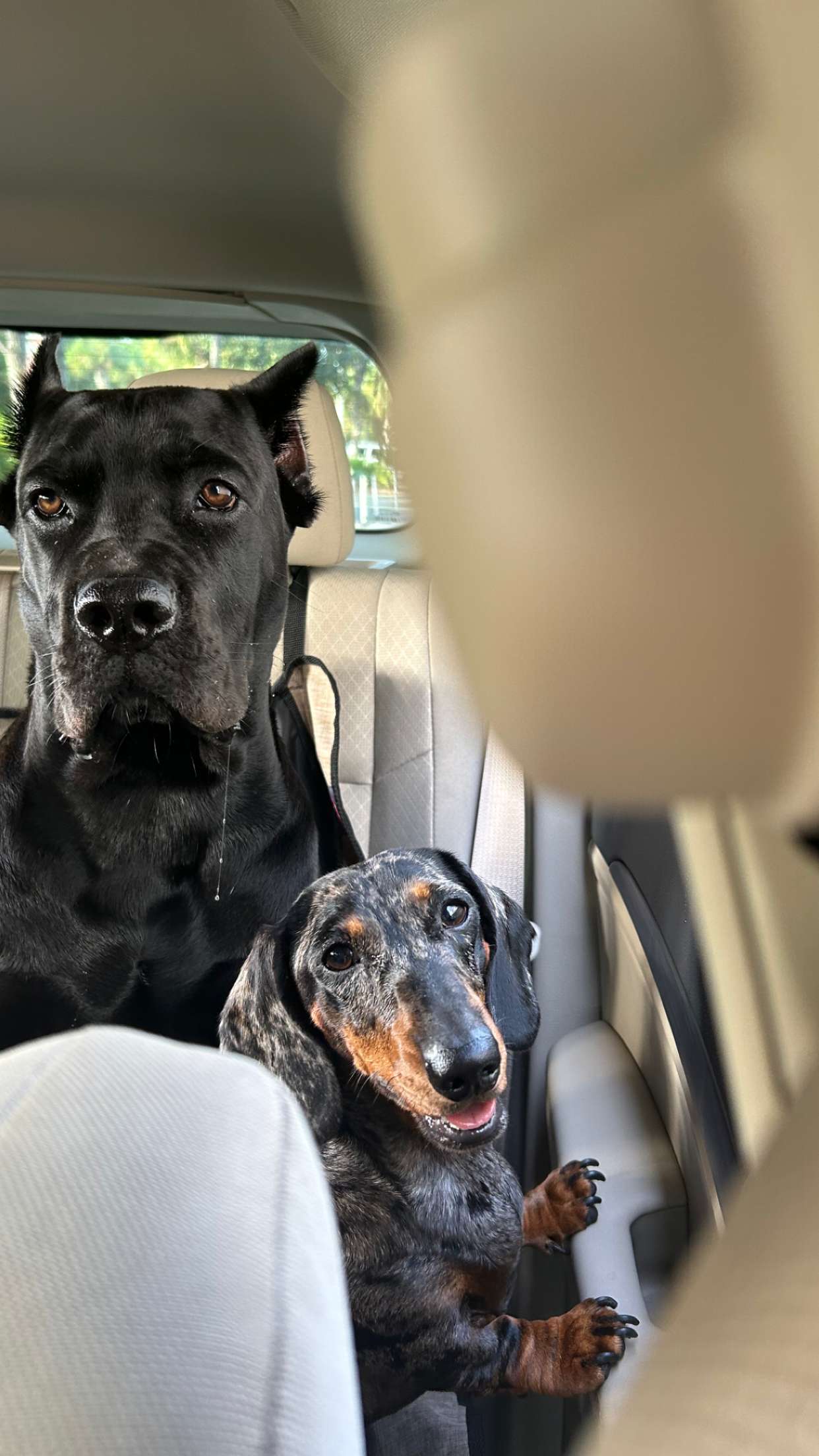 mckinley_1 snapchat image archive image