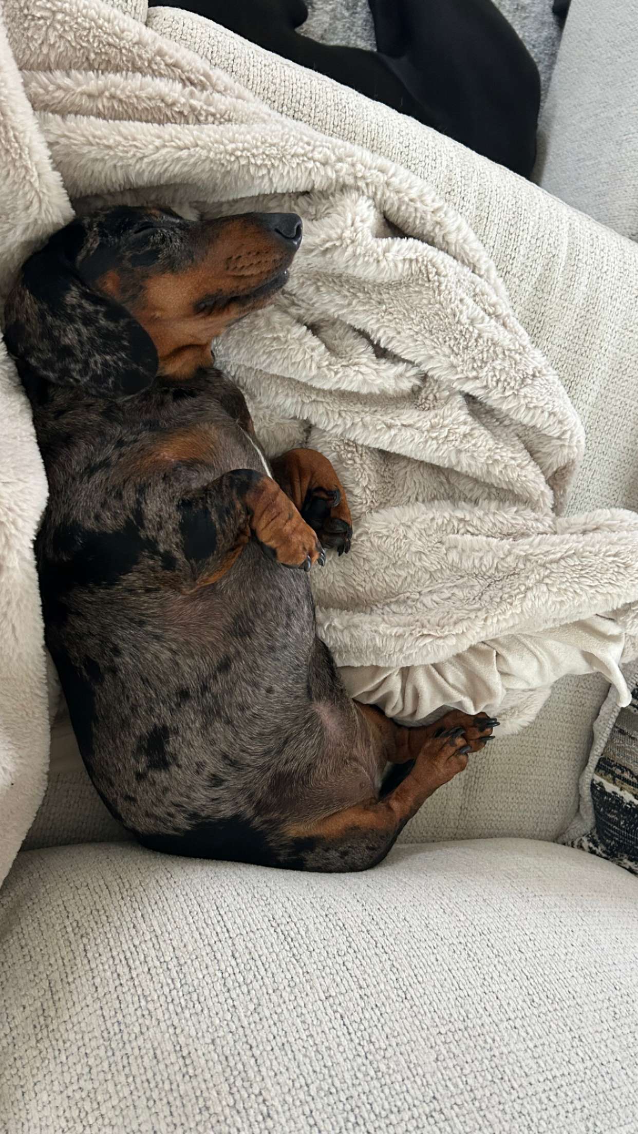 mckinley_1 snapchat image archive image