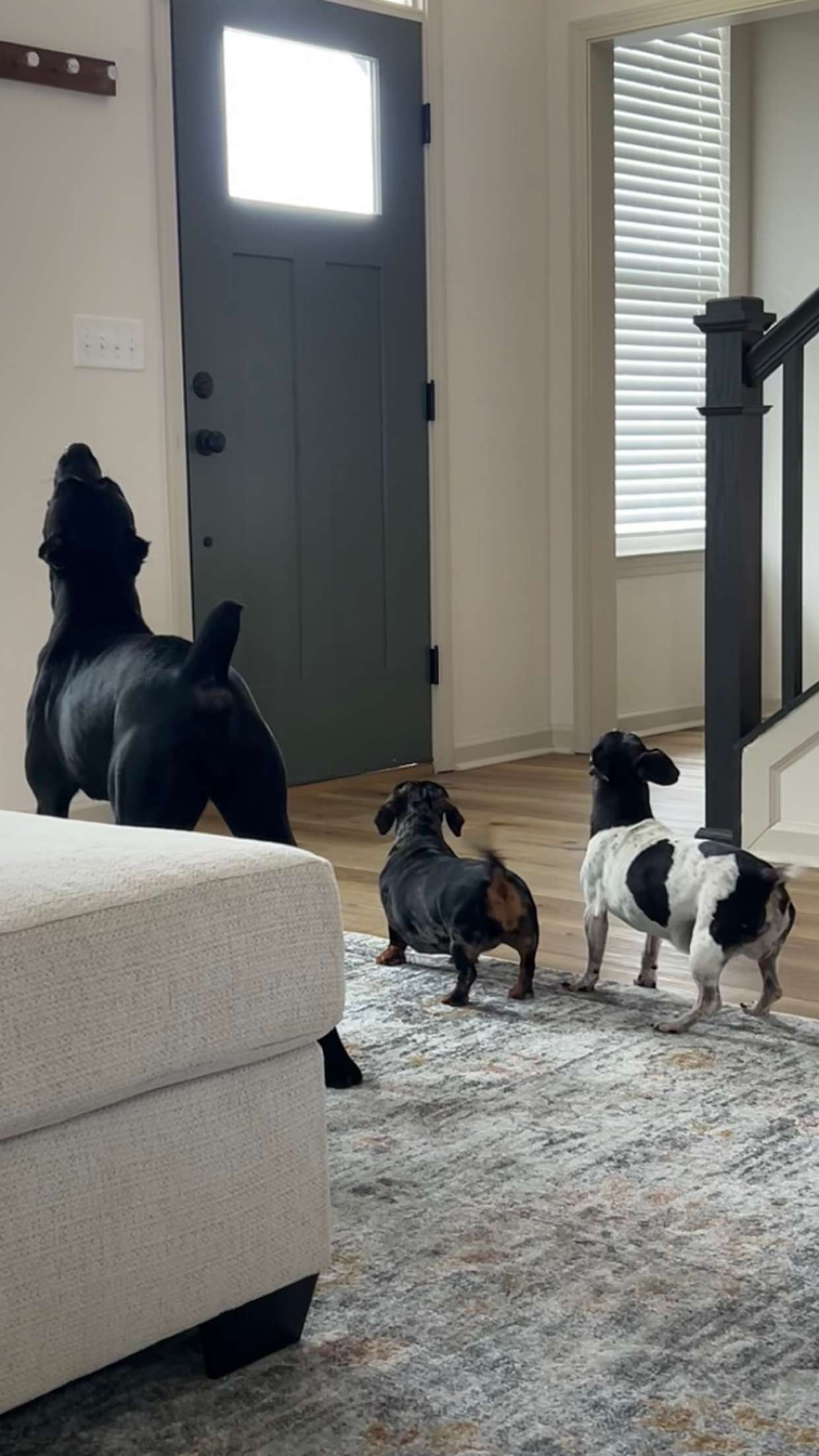 mckinley_1 snapchat image archive image