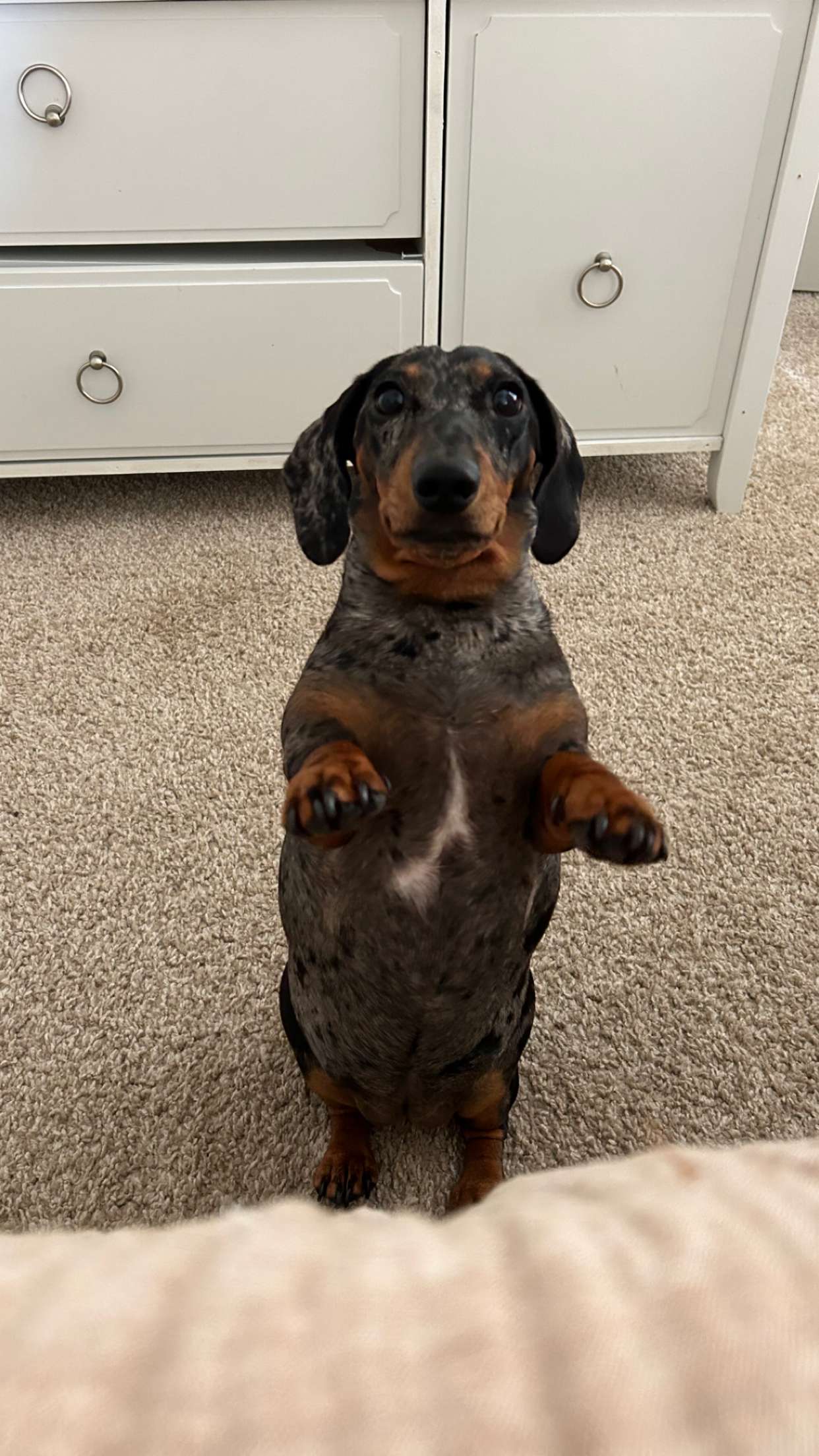 mckinley_1 snapchat image archive image