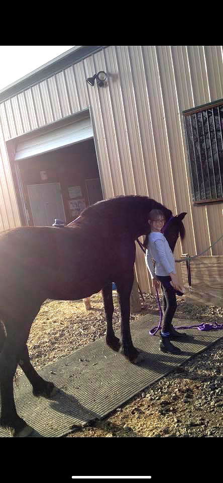 mckinley_1 image ~ Altpins