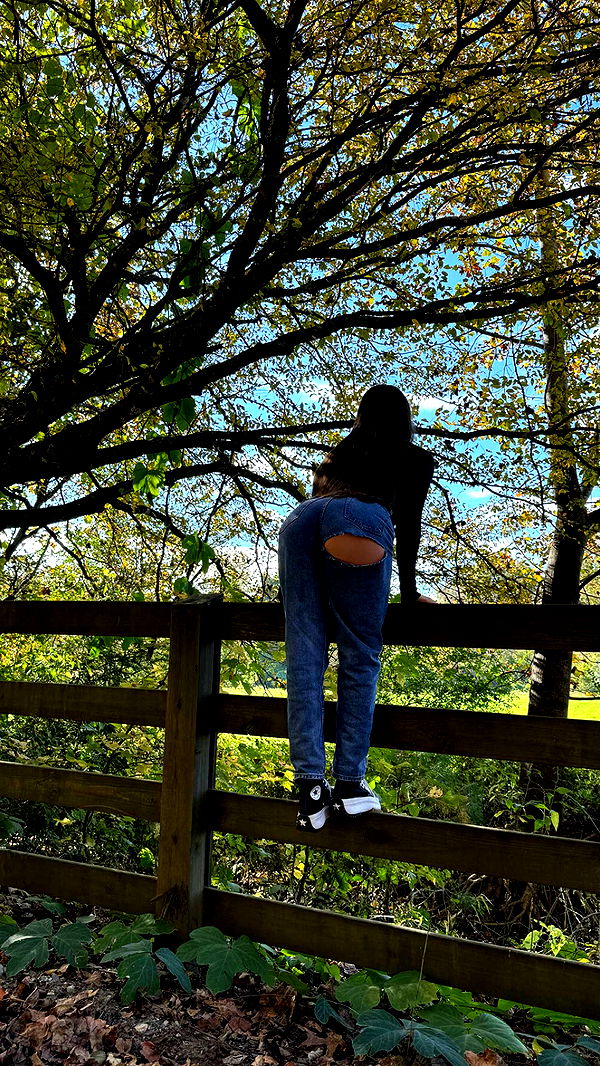 mckinley_1 image ~ Altpins