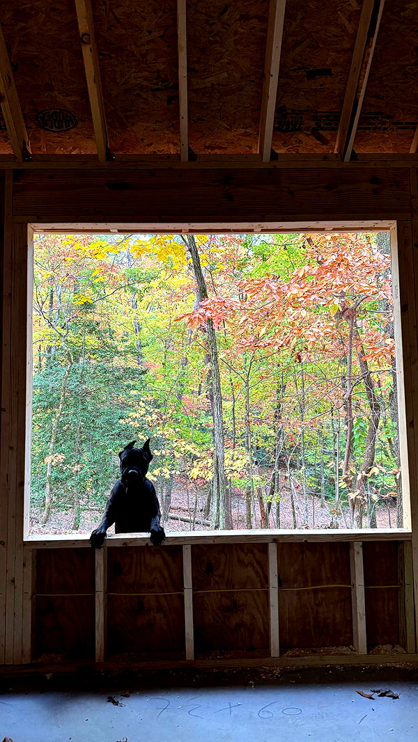 mckinley_1 image ~ Altpins