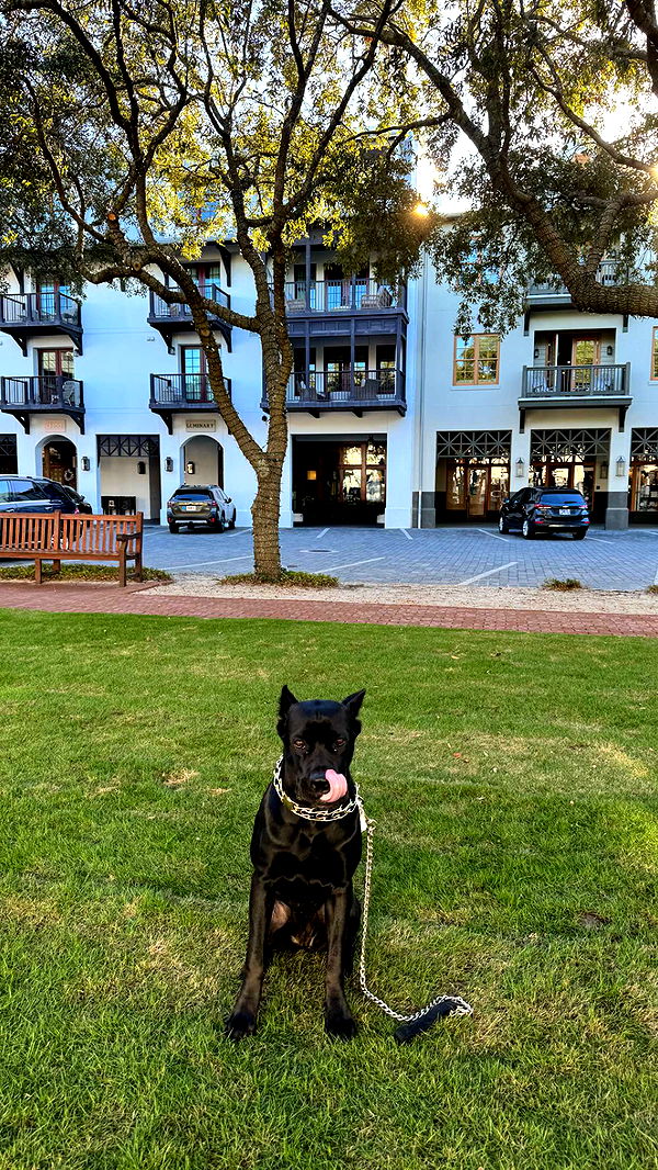 mckinley_1 image ~ Altpins