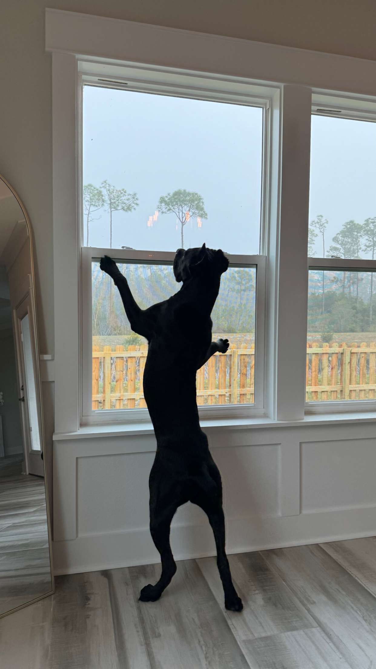 mckinley_1 snapchat image archive image