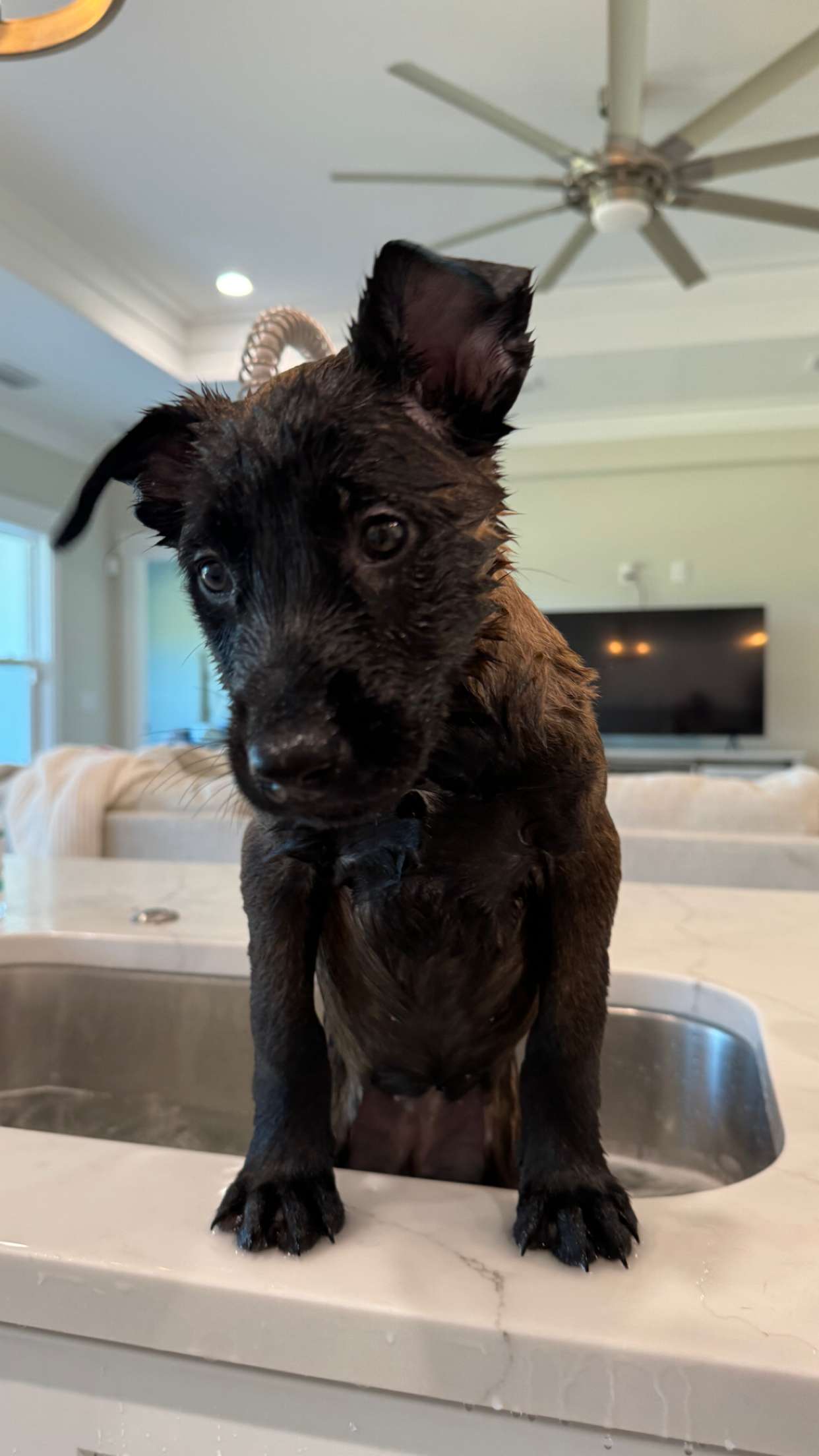 mckinley_1 snapchat image archive image