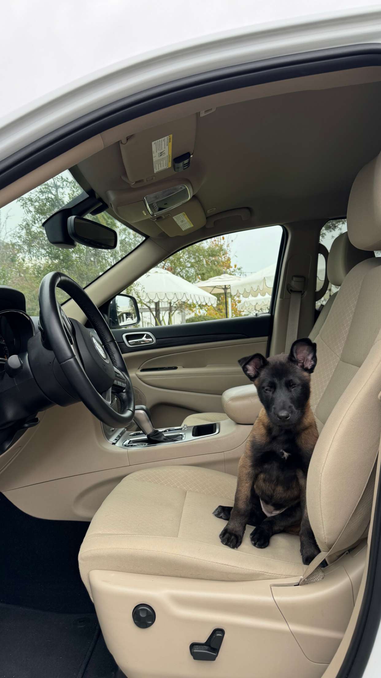 mckinley_1 snapchat image archive image