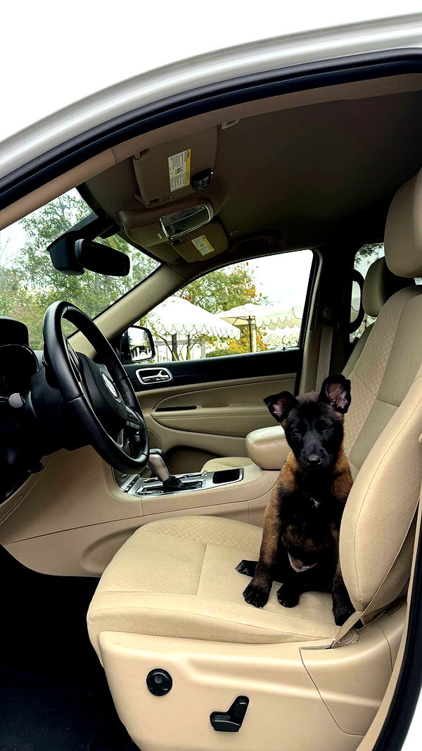 mckinley_1 image ~ Altpins