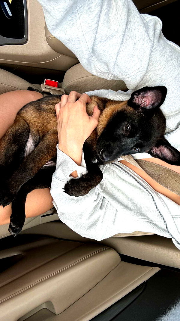 mckinley_1 image ~ Altpins