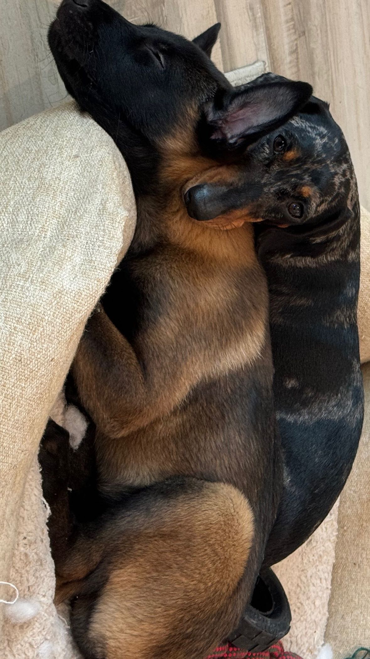 mckinley_1 snapchat image archive image